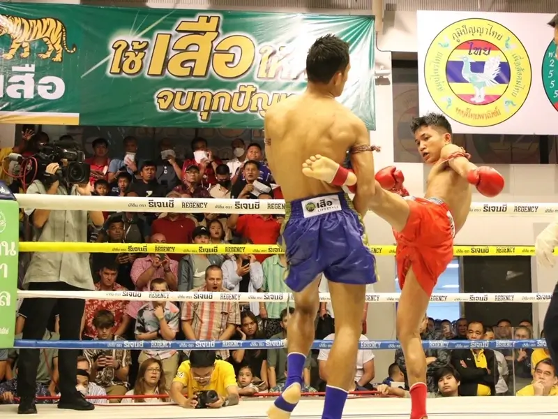 Channel 7 Boxing Stadium